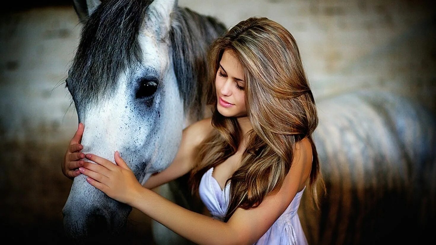 Девушки собаки лошади. Фотосессия с лошадьми. Красивая фотосессия с лошадью. Девушка с лошадью. Красивые девушки с животными.