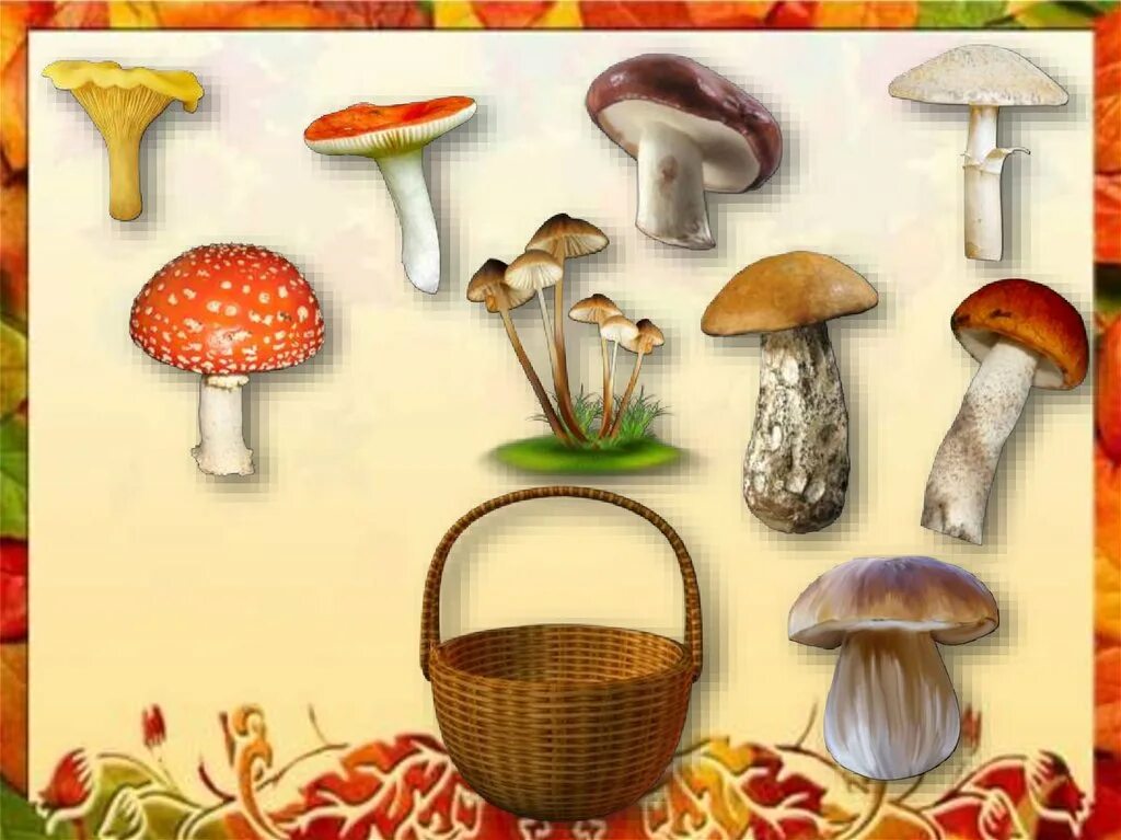 Хороша грибами время года. Интерактивные игры на тему осень для дошкольников. Игра грибы. Грибы игра окружающий мир. Интерактивная игра осень для дошкольников.