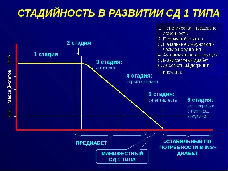 Клинические стадии сахарного диабета 1 типа. Стадии развития СД 1 типа. Стадии течения СД 1 типа. Стадии развития СД 2 типа. В конце первого этапа