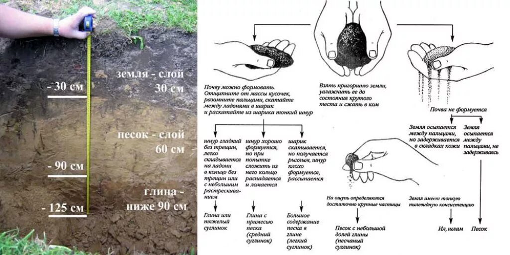 Как понять какая почва