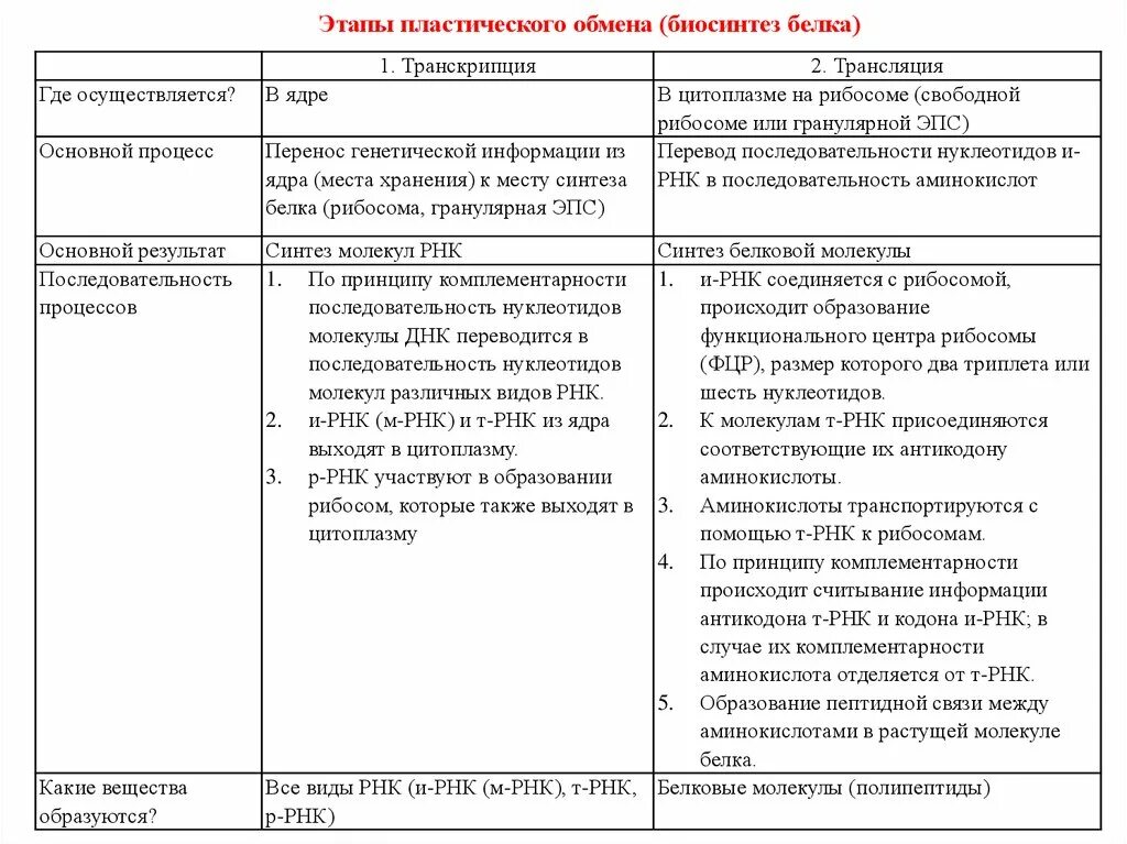 Подготовительный этап характеристика. Этапы пластического обмена таблица. Стадии пластического обмена. Этапы пластического и энергетического обмена. Пластический обмен Биосинтез белков 9 класс таблица.