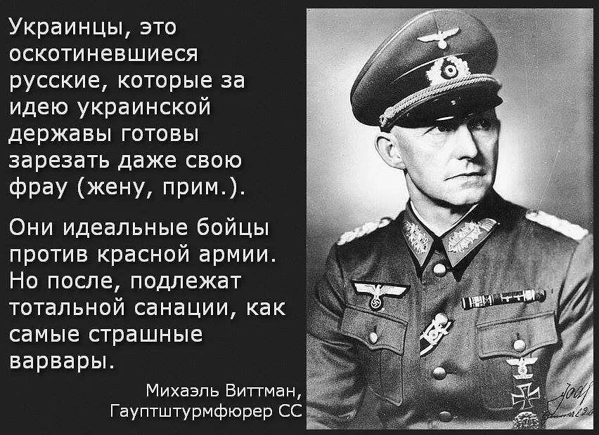 Михаэль Виттман об украинцах. Михаэль Виттманн про украинцев. Немец о украинцах Михаэль Виттман. Высказывания о бандеровцах. Надо против россии