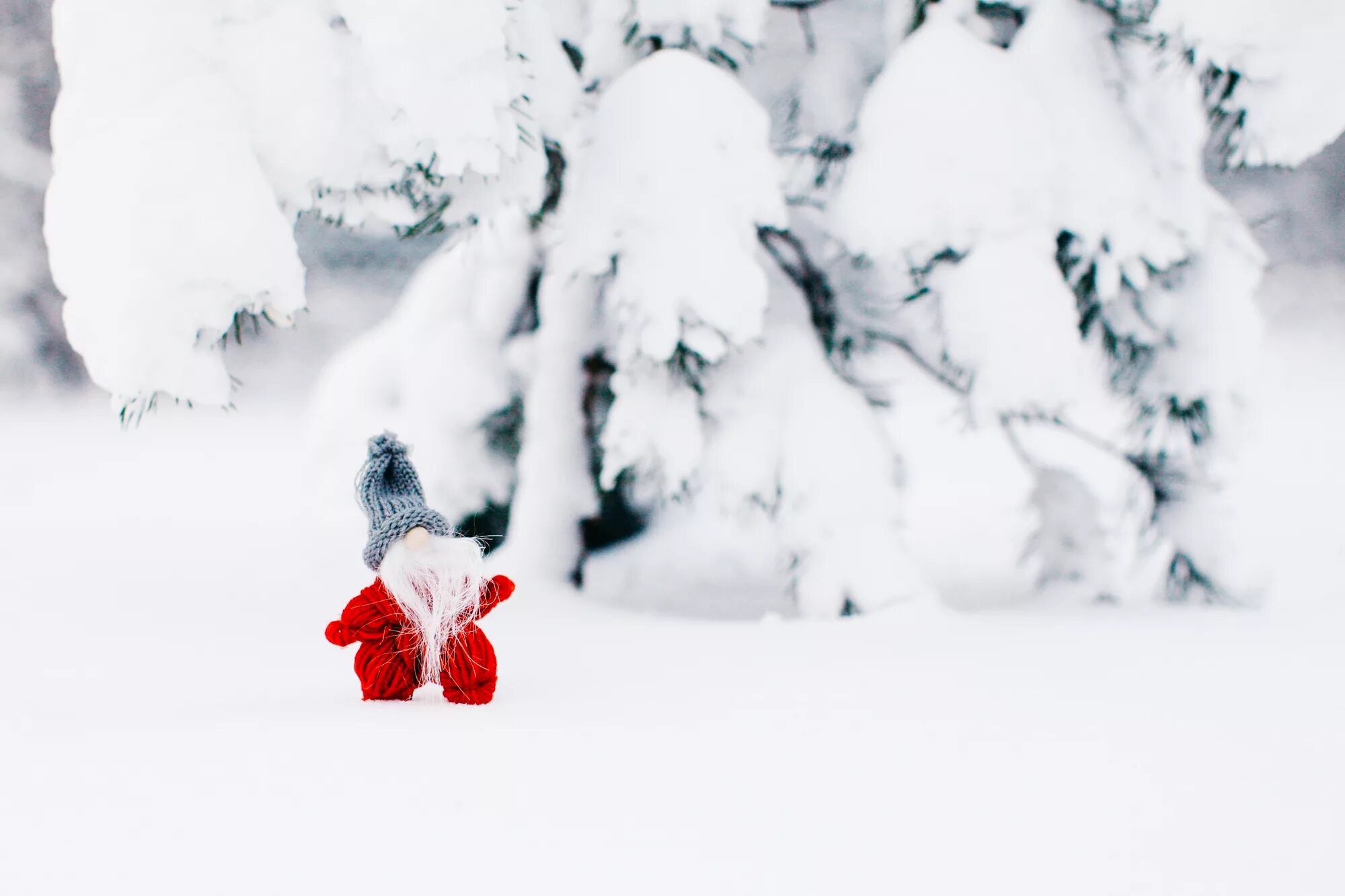 Снег идет снег идет дед мороз. Дед мороз в лесу. Сказочный зимний лес. Дед мороз за окном. Снег идет снег идет дед мороз.