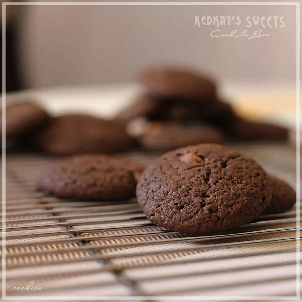 Печенье домашнее какао. Шоколадное печенье. Шоколадное сухое печенье. Шоколадные орешки печенье. Печенье из какао.