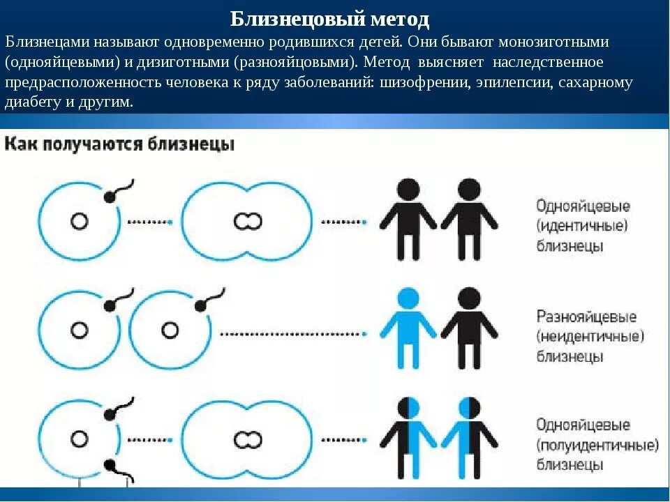 Почему не получаются семьи. Однояйцевые (монозиготные) Близнецы. Полуидентичные Близнецы. Как получаются Близнецы. Отличие близнецов от двойняшек.