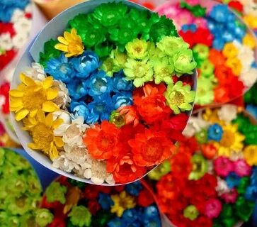 День разноцветных цветов