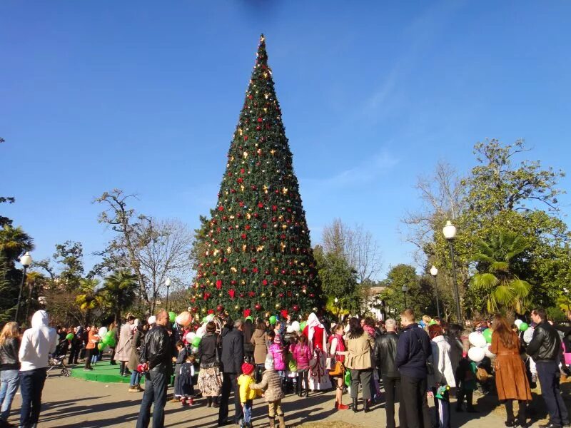 новогодняя абхазия гагра. абхазский новый год. новый год в гаграх 2021. абхазия новый год. символ нового года в абхазии.