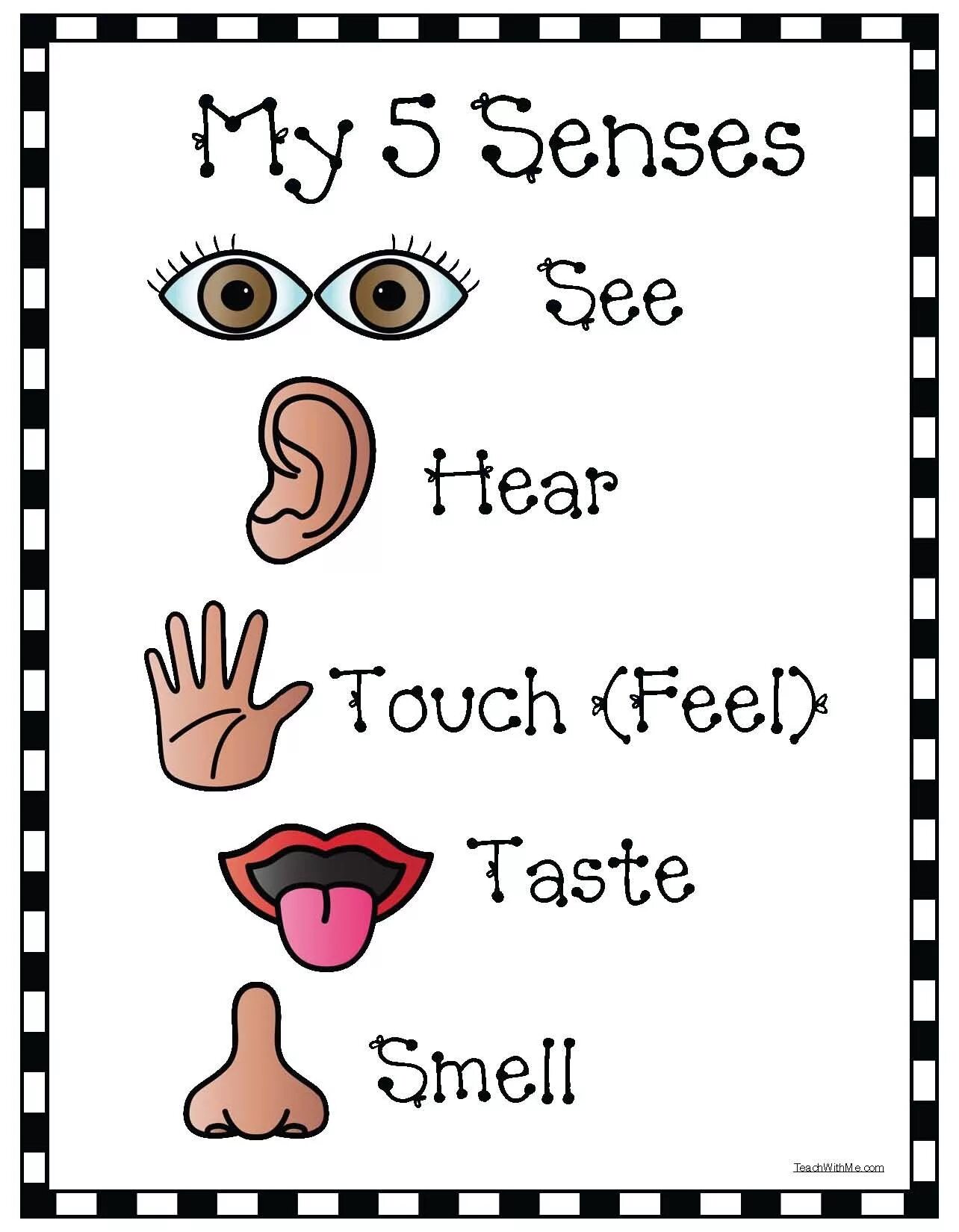 5 Senses activity. 5 Чувств на английском для детей. 5 Senses на английский. Five senses for Kids. See hear feel