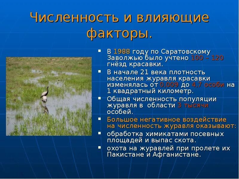 Факторы влияющие на численность птиц. Журавли Саратовская область. Животные красной книги Саратовской области.