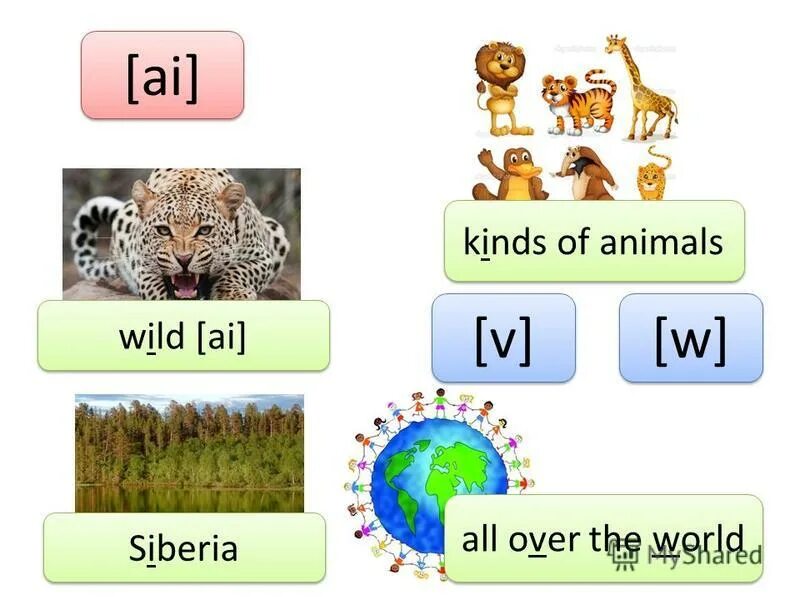 Animals in africa картинки. Животные. Animals and their sounds in english. Abc planet turkish animals sevimli hayvanlar a dan z. Вымершие животные 2021 года.