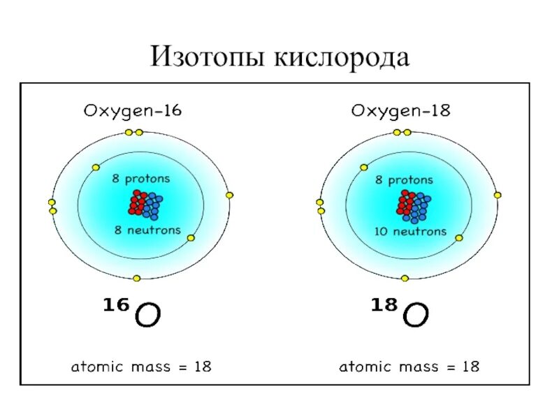 Изотоп кислорода 16. Изотоп кислорода 18. Строение ядра кислорода. Кислород химический элемент. Сколько нейтронов в изотопе углерода