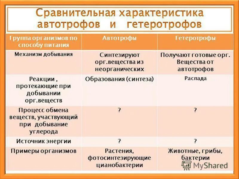 Автотрофы характеристика