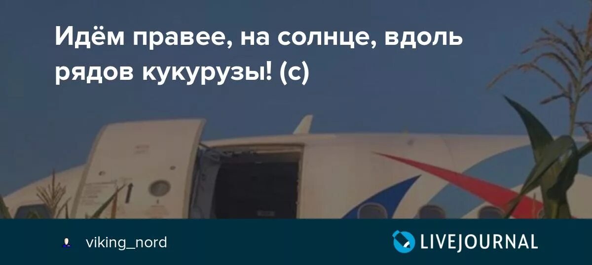 Правее на солнце вдоль. Правее на солнце вдоль рядов. Вдоль кукурузы на солнце идём правее. Правее на солнце вдоль рядов кукурузы. Идём правее на солнце вдоль рядов кукурузы футболка.