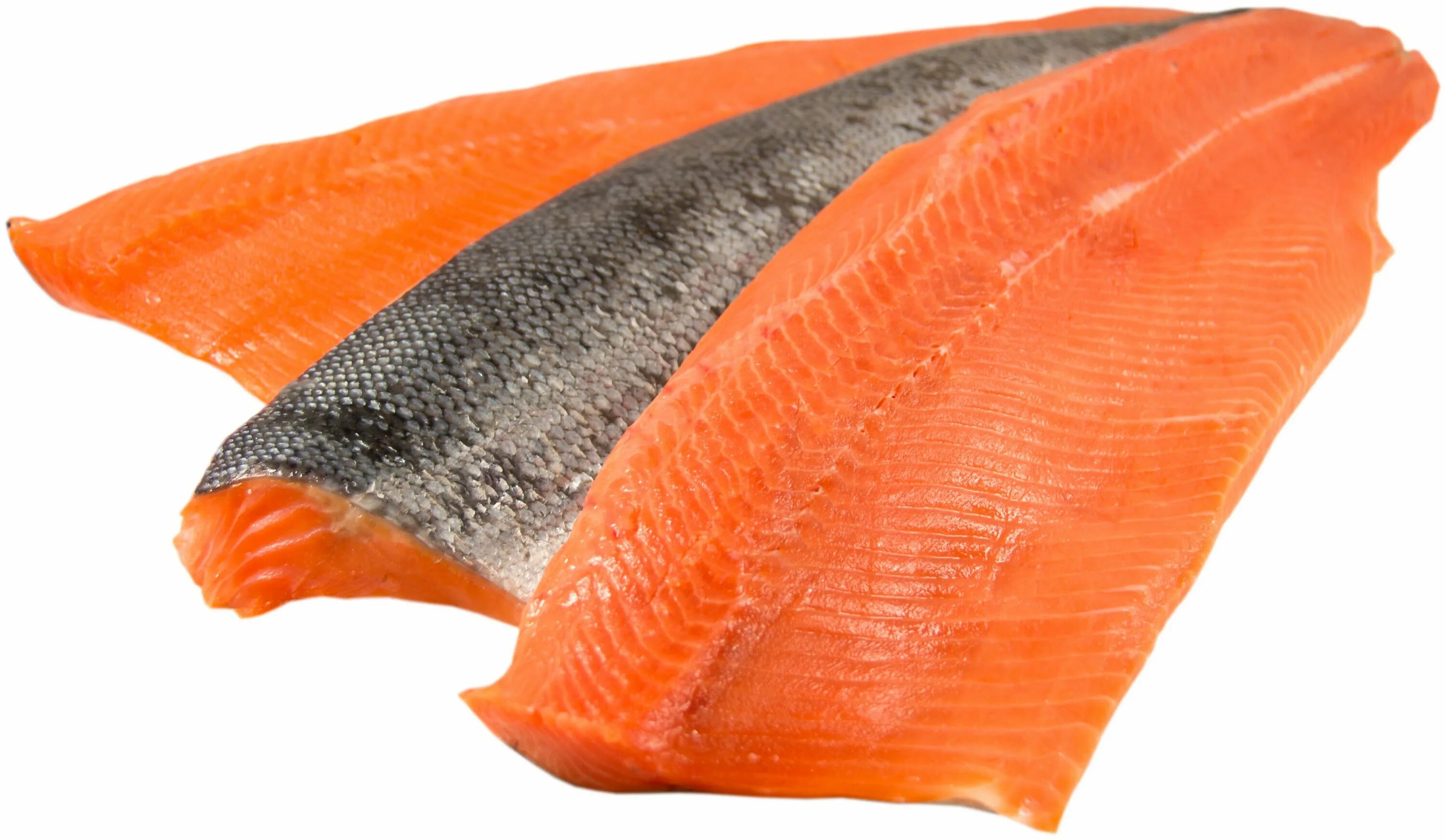 филе рыбы кета. филе рыбы кета. кета филе хк. кижуч хк филе. кета филе.