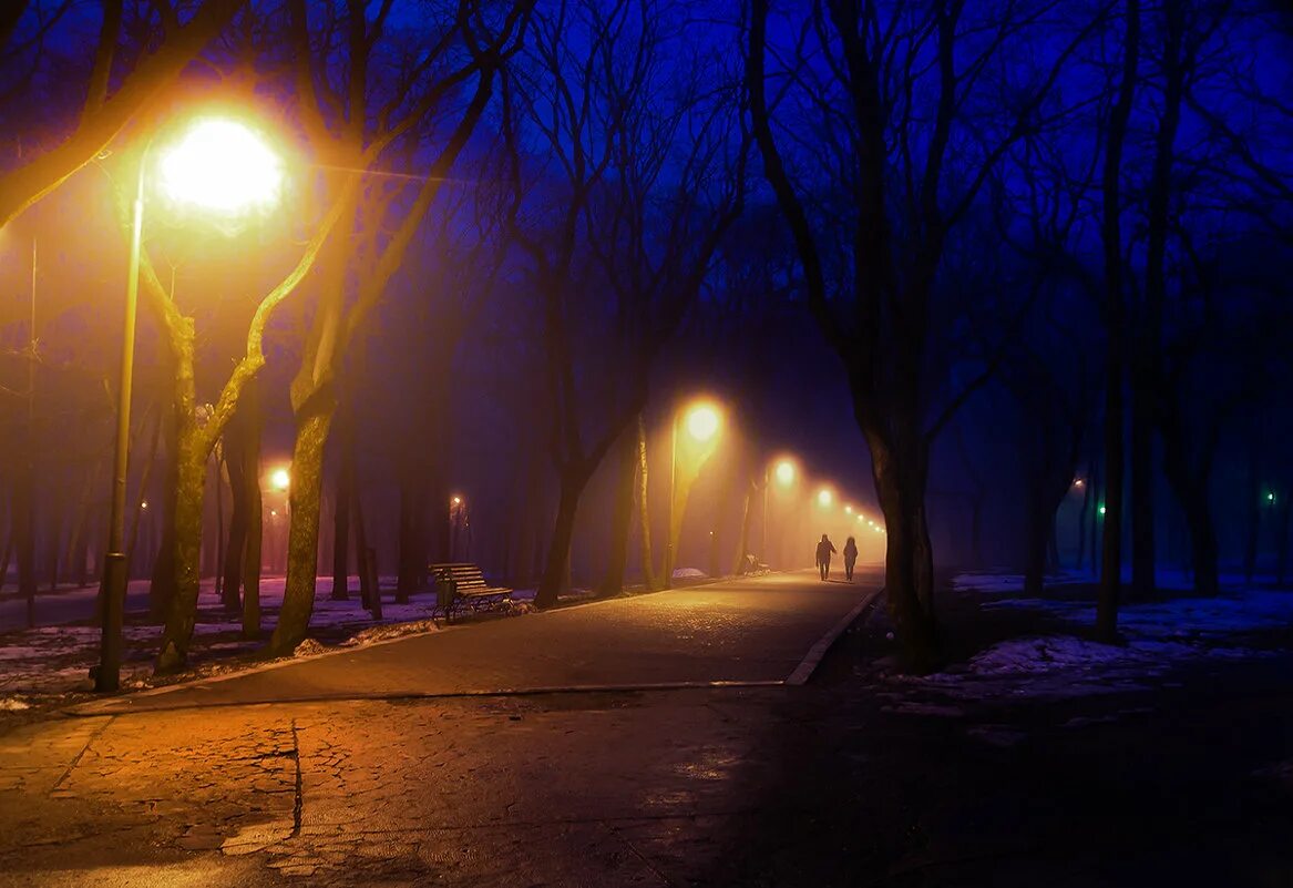 Городу нужен свет. Ночные фонари. Фонарь ночью. Ночь парк фонарь. Парк ночью фон.