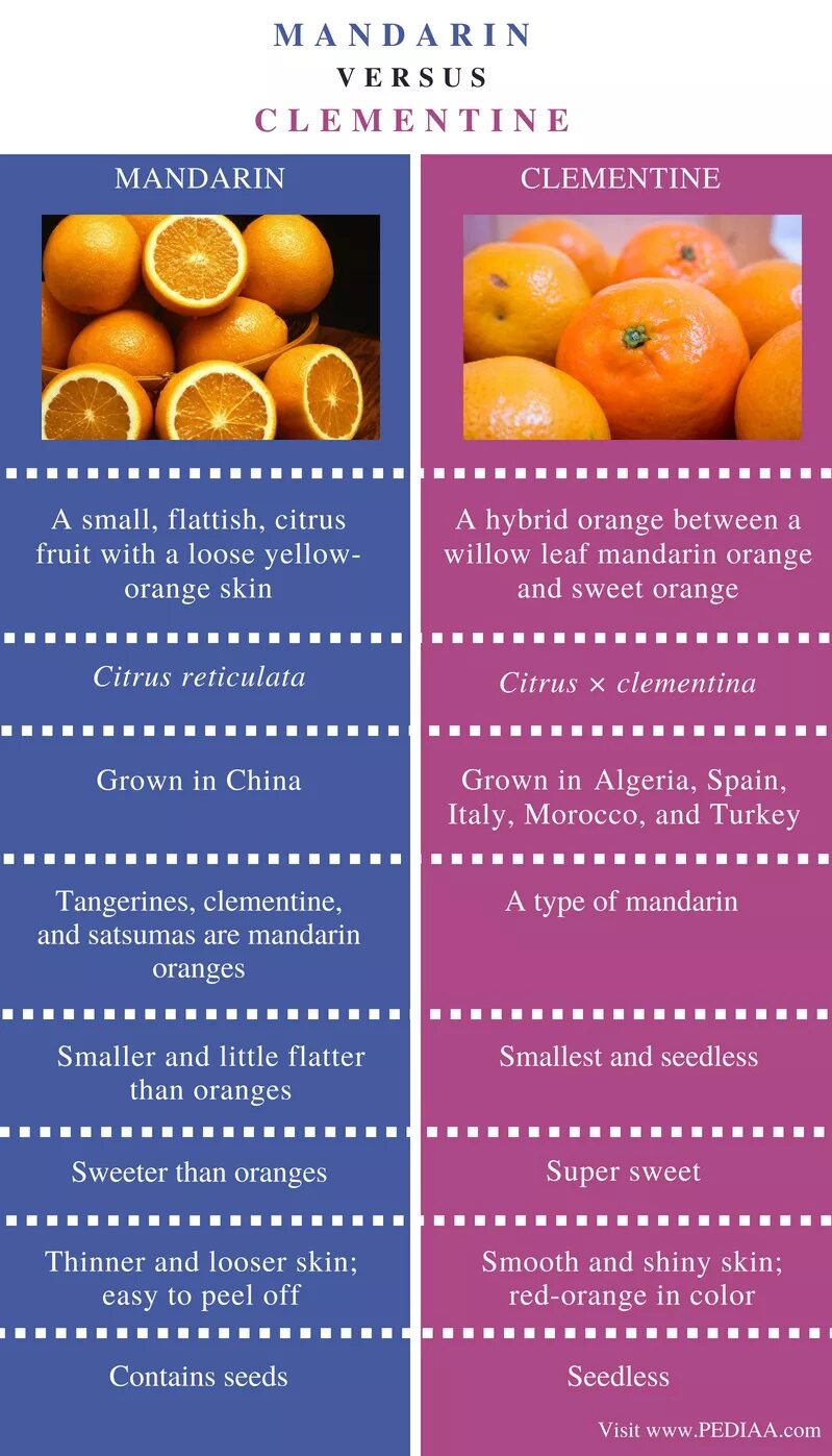Средний размер мандарина. Клементины и мандарины отличие. Мандарины Клементин. Мандарин и Клементин разница.