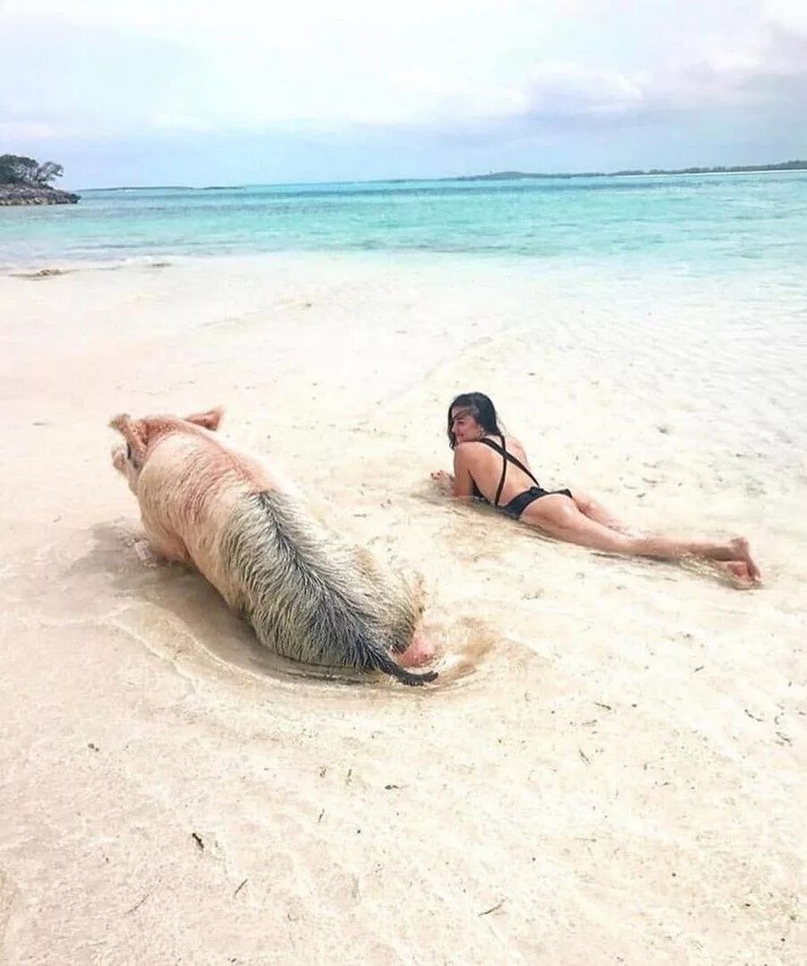 Море шутка