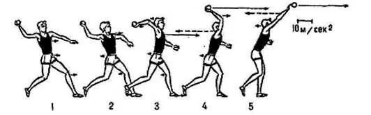 Метание мяча весом 150 г (м). Техника метания спортивного снаряда. Биомеханика бросок мяча. Метание мяча весом 150г (метров). Движение по счету цшп