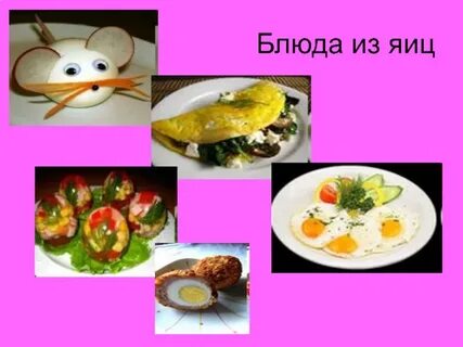 Значение блюд из яиц в питании