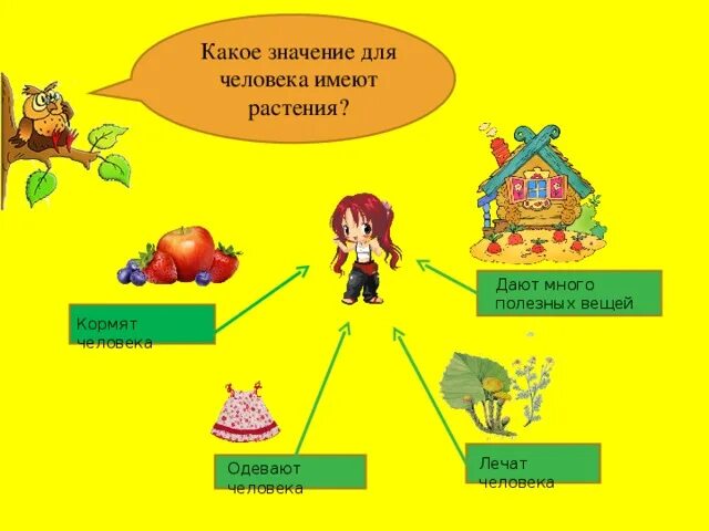 Выберите значение растений в природе. Схема что дают растения животному и человеку 3 класс окружающий мир. Что дают растения животным схема 3. Схема что дают растения животным и человеку. Схема что дают растения человеку.