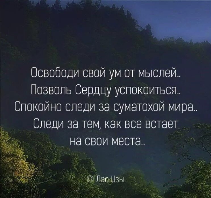 Жизненная мощь мудрость сосредоточенность и успокоение. Мысли цитаты. Успокаивающие афоризмы. Успокаивающие цитаты. Умные мысли и высказывания.