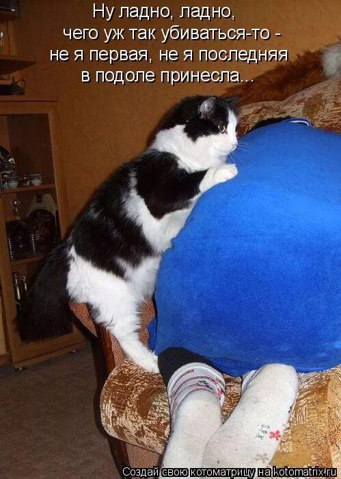 Ну, котик, еще капельку. Зачем ладно. Доброе утро вставать неохота. Ладно вставать. Уже проснулись доброе утро.