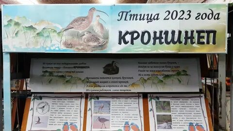День птиц 2023 году