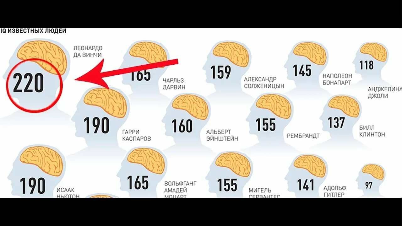 Айкью детей 11 лет. IQ среднестатистического человека. Средние показатели IQ. Уровень теста на IQ. Показатель IQ среднего человека.