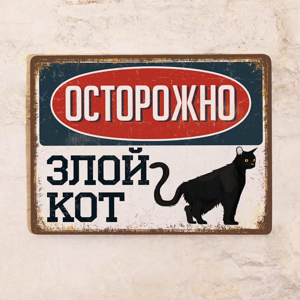 Осторожный кот. Дорожные знаки осторожно кот. Из-за угла. Осторожный кот. Осторожно злой кот.
