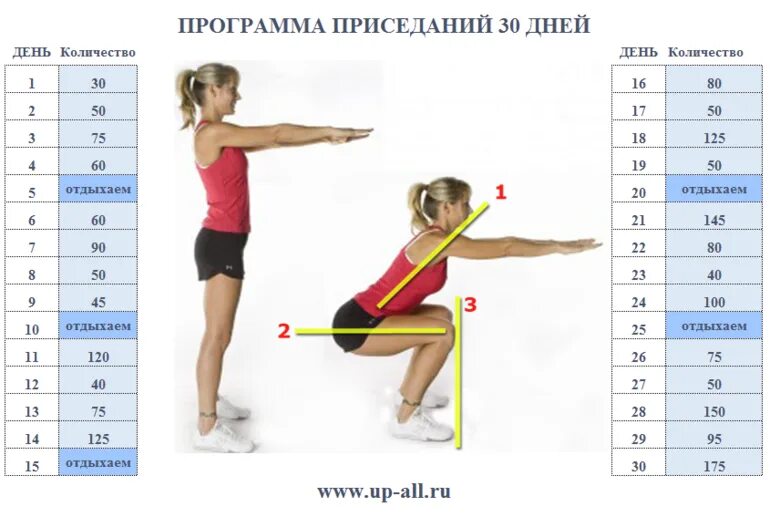 Сколько надо приседать. Схема приседаний. Схема правильного приседания. Приседания для похудения. План тренировок приседания.
