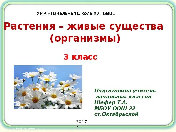 Почему растения живые организмы. Растения живые существа. Растения 3 класс. Растение живой организм. Презентация по окружающему миру.