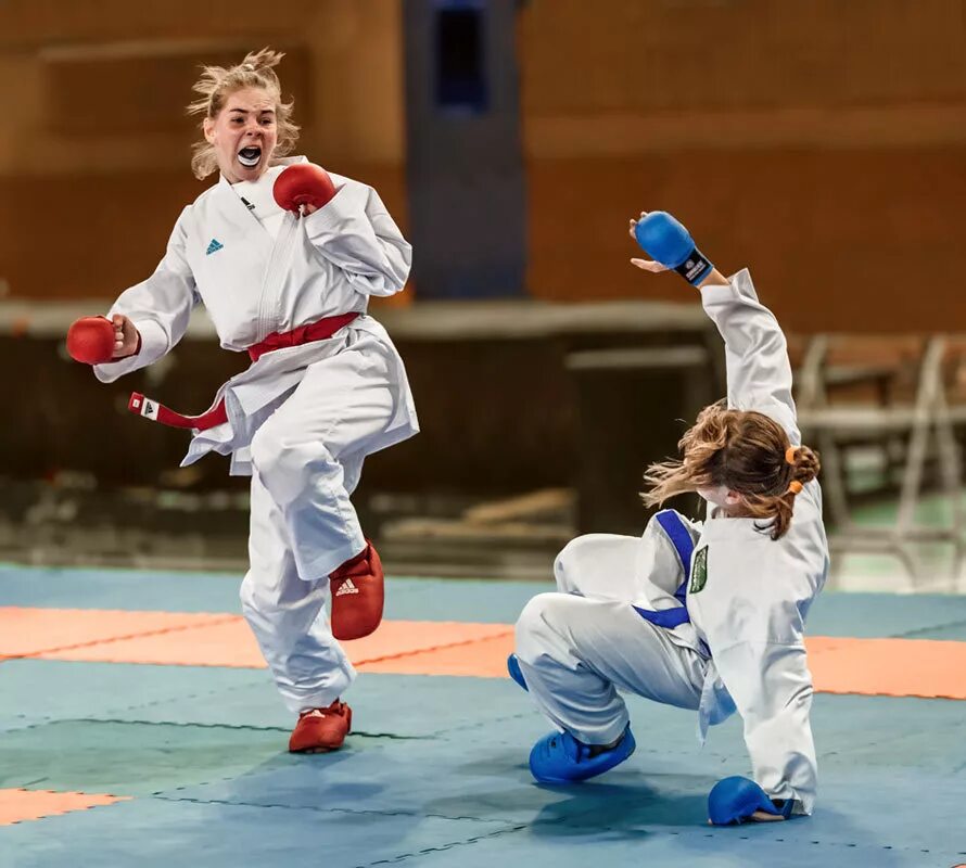 кумите карате киокушинкай. федерации карате шин кан и в. каратэ wkf в волжский. Rafael agayev. каратэ балаково.