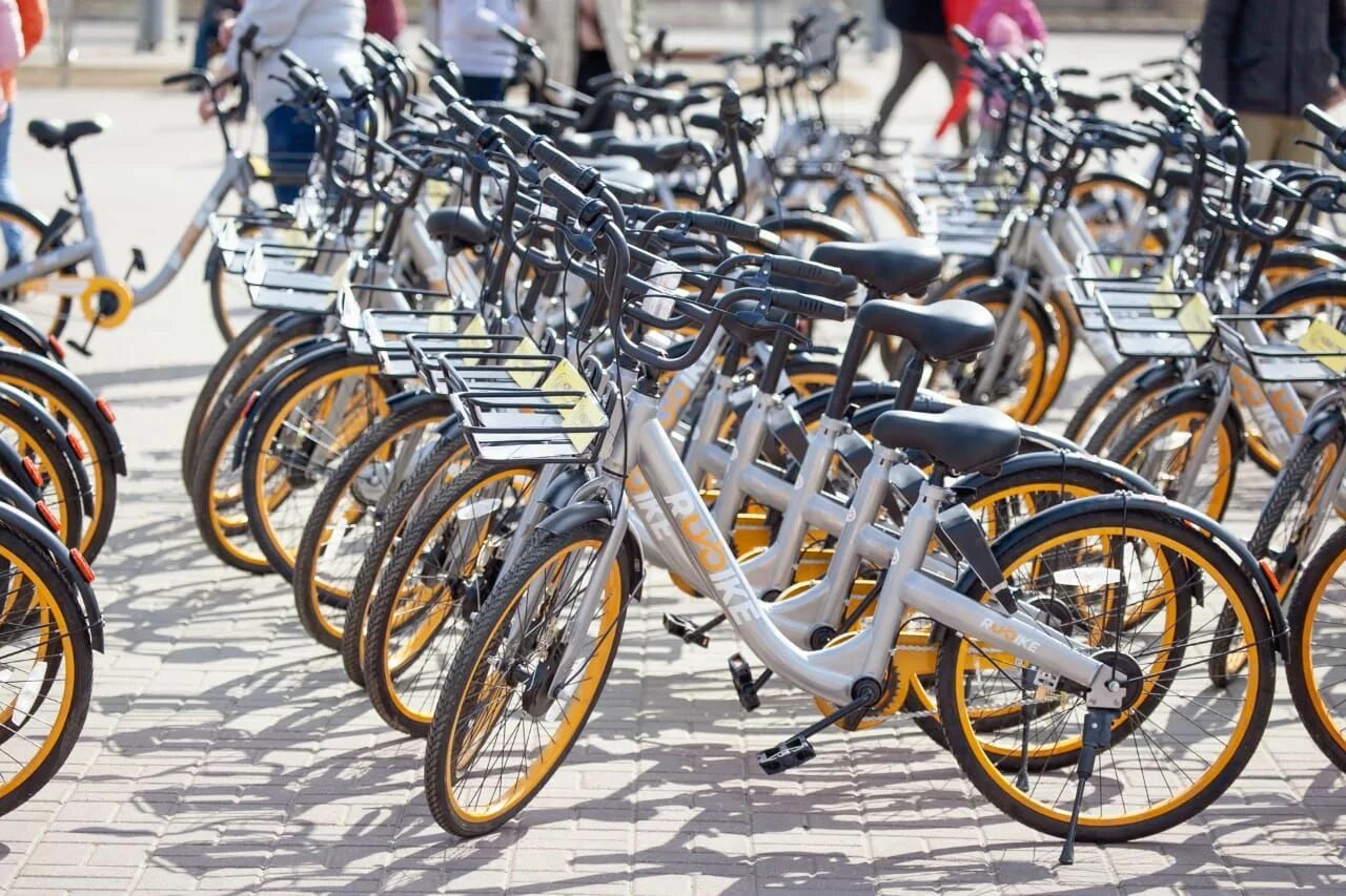 Прокат велосипедов цены. Велошейринг Краснодар зеленые велосипеды. Шеринг велосипедов. Велопрокат. Велосипед в городе.