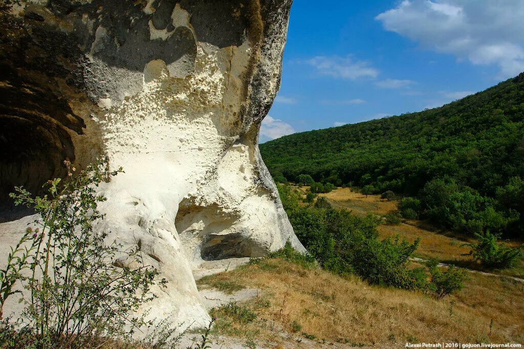 Elden ring мельница. Как попасть на плато. Плато альтус elden ring. Карта рарников аргуса. Элден ринг вторая церковь марики.