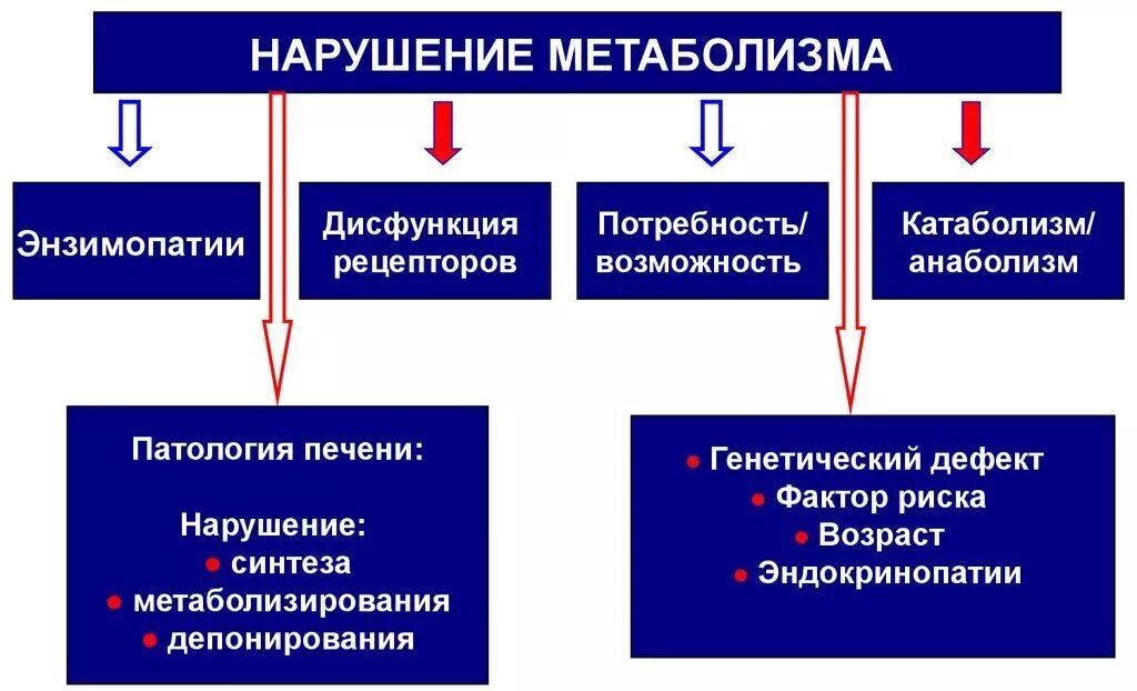 Метаболиты что это. Заболевания обмена веществ. Нарушение обмена веществ в организме. Причины нарушения метаболизма в организме. Нарушение обмена веществ заболевания.