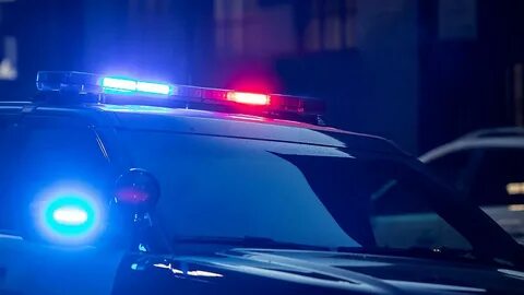 Police light