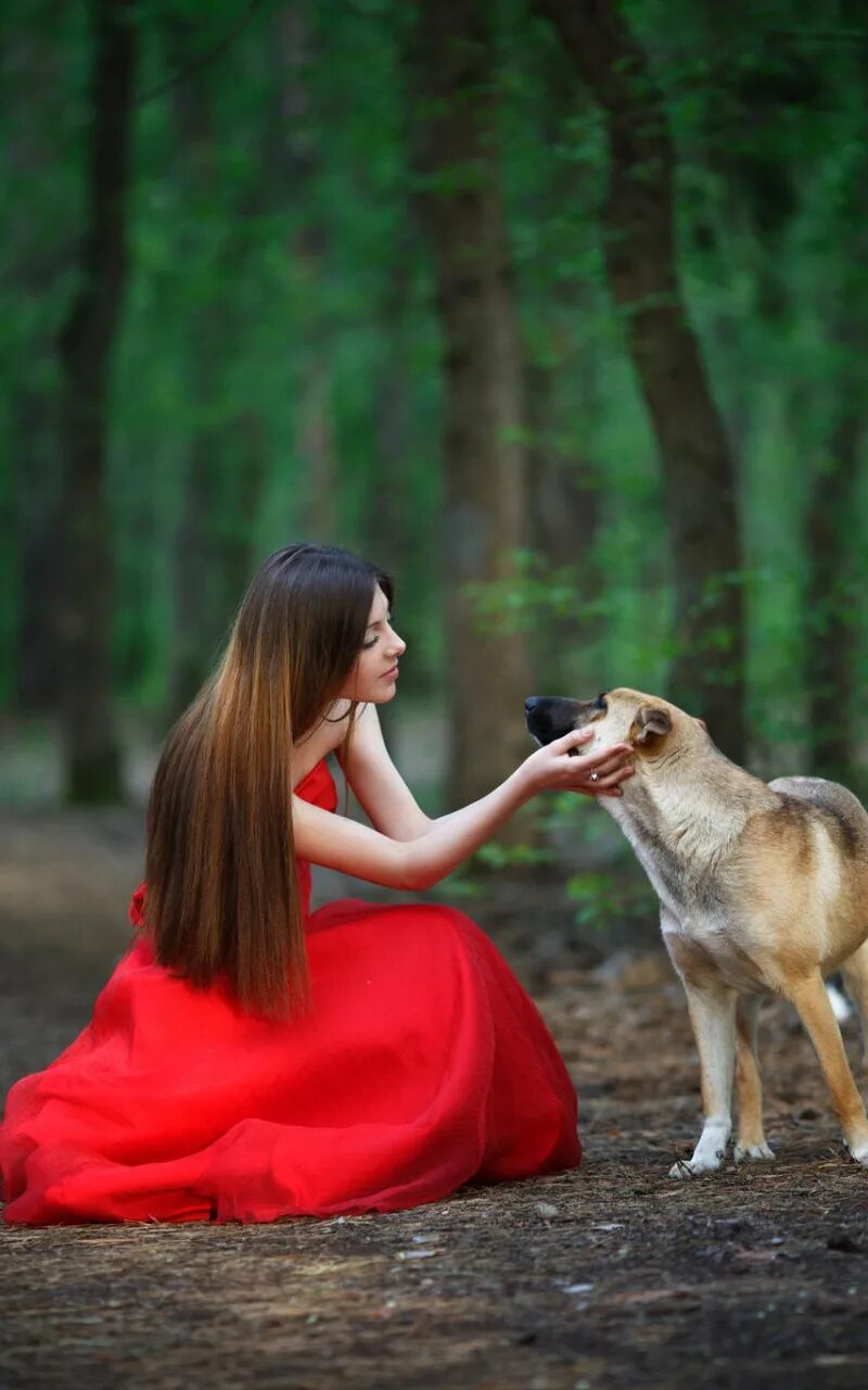 Девушка ищет собаку. Девушка ищет собаку. Человек с питомцем. Собака на природе. Девочка с собакой.