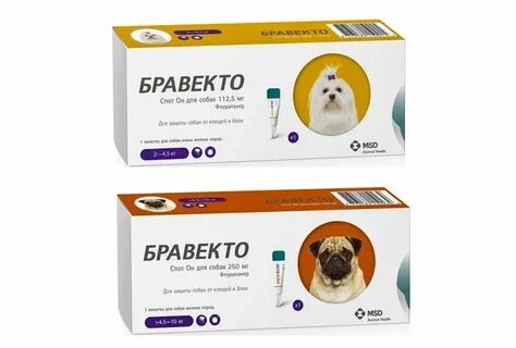 Что дать собаке от аллергии