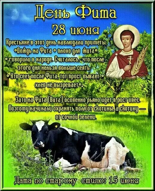 День фита 28 июня. 28 июня народный календарь. День фита. 28 июня народный календарь. Июнь фото.