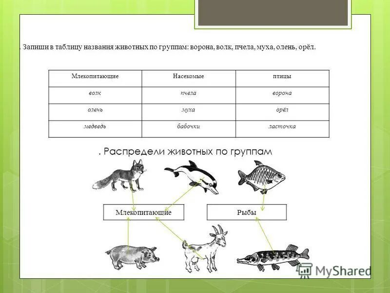 Назовите известных вам животных