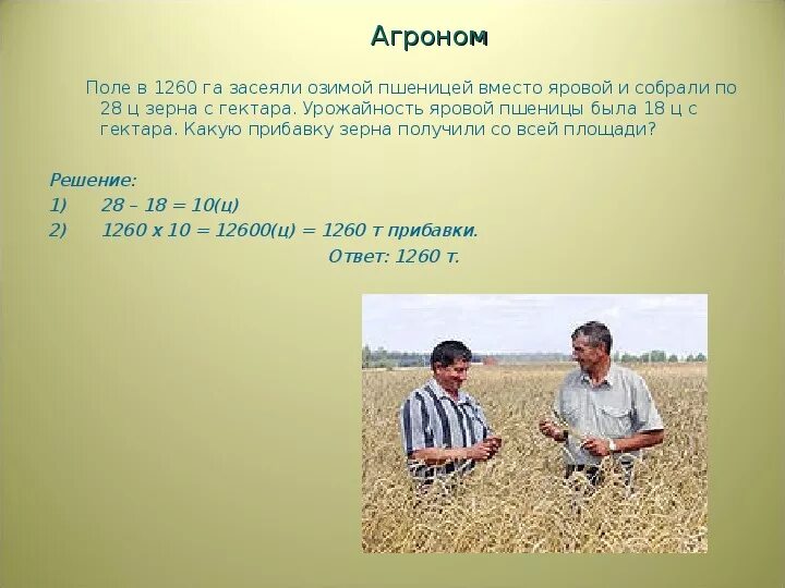 Поле в 1260 га засеяли озимой пшеницей вместо Яровой и собрали по 28. Сколько полей. Поле в 1260 га. Сколько га в поле.