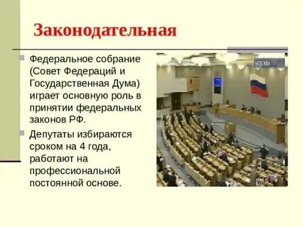 Из какого числа депутатов состоит государственная дума