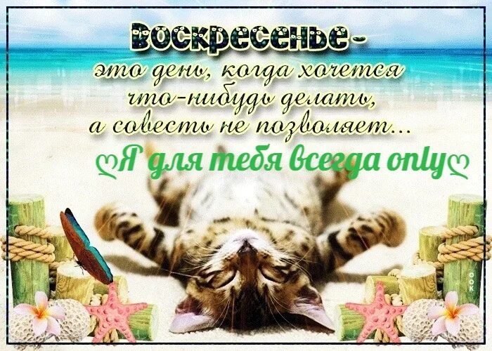 ПОЖЕЛАНИЯ С ВОСКРЕСНЫМ ДНЕМ КРАСИВЫМИ КАРТИНКАМИ Картинки, Воскресенье, Благодар
