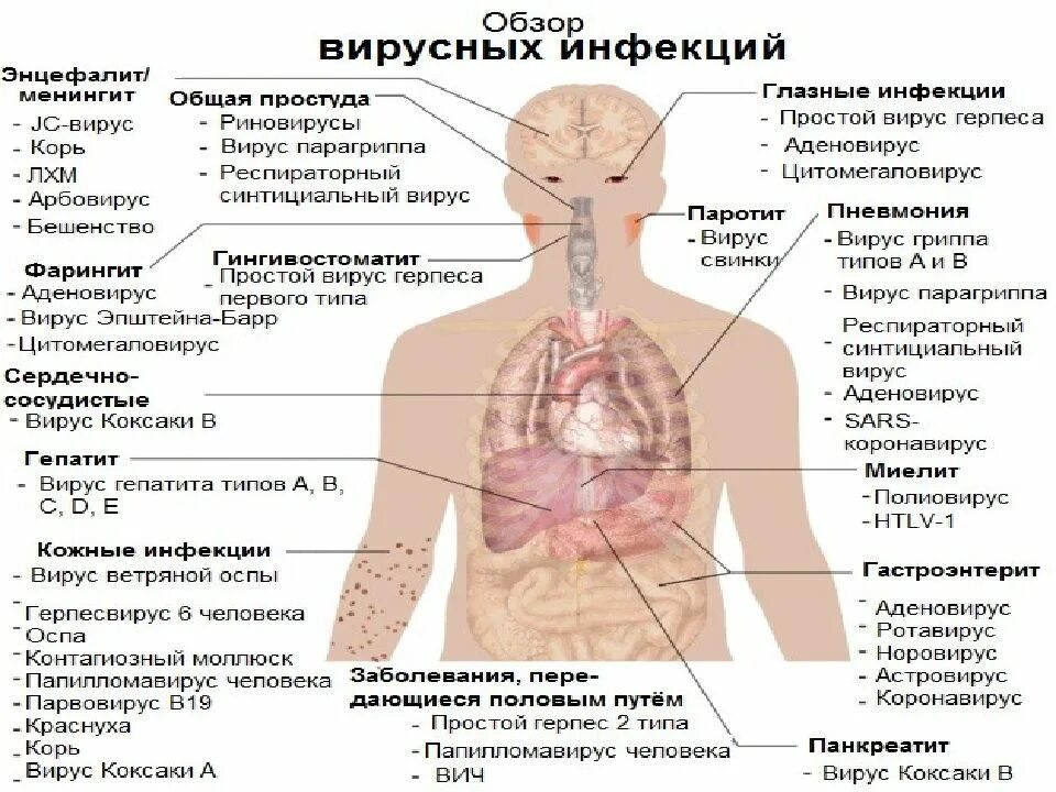 Какие инфекции вызывают. Вирусные заболевания. Вирусы и вирусные заболевания таблица. Болезни вызываемые вирусами. Вирусное в заболевание вирусное заболевание.