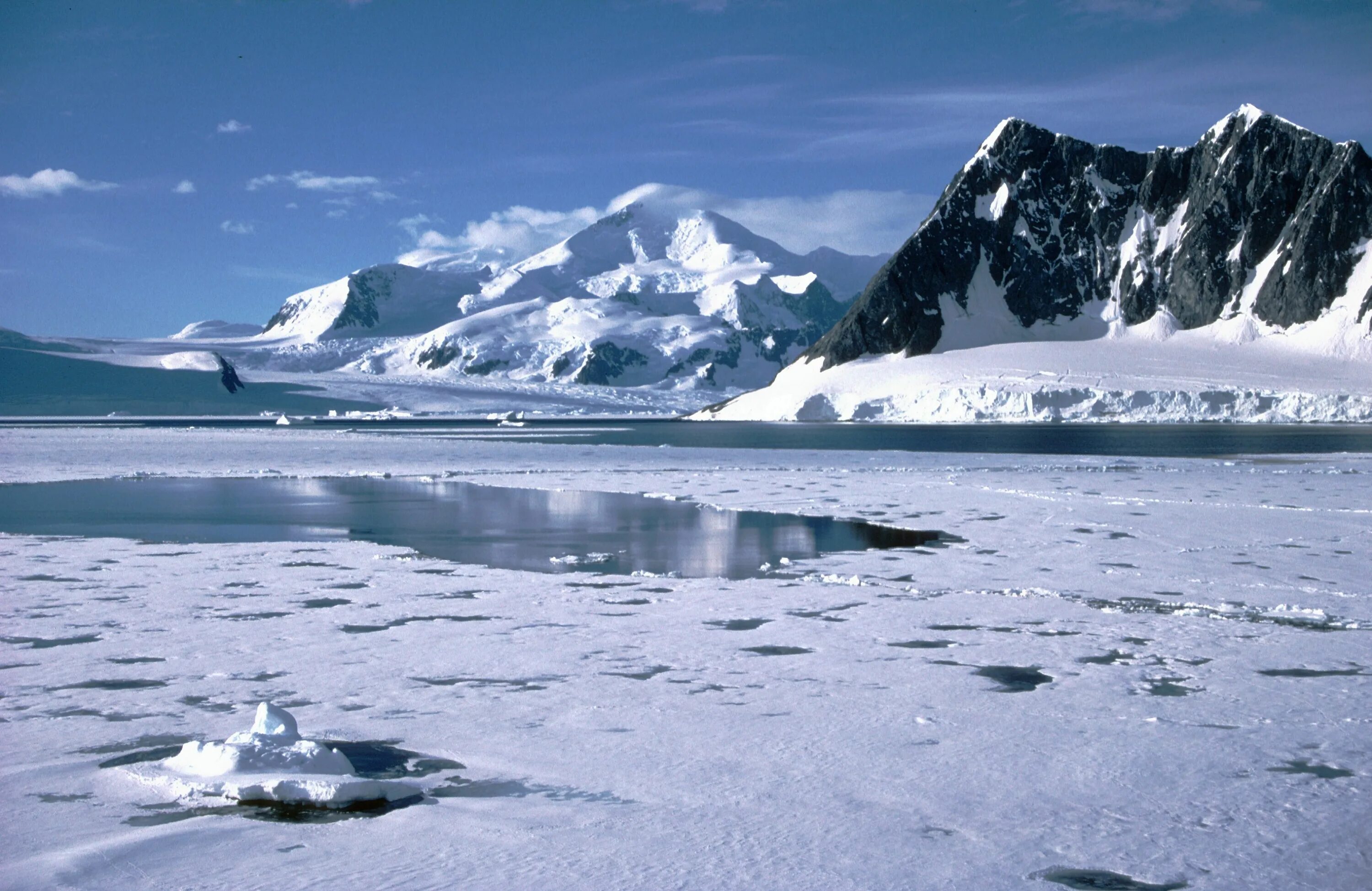 Антарктические почвы. Антарктика ЛЕДНЯКОВЫЙ Покров. Ледяной Покров Антарктиды. Восточно антарктический ледяной щит. Ледяной Покров Арктики.