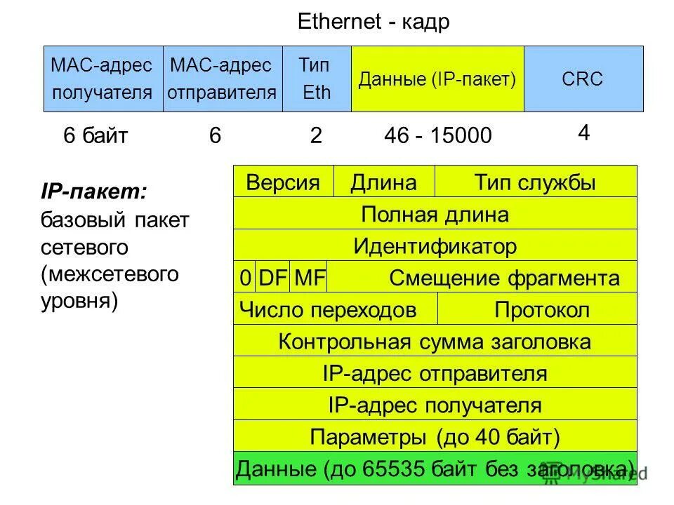 Пакет ip адресов. Структура пакета Ethernet TCP/IP. Формат пакета TCP IP. Структура пакета Ethernet IP. Пакет TCP IP структура.