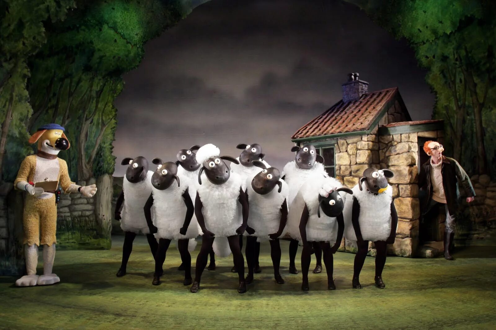 When the sheep