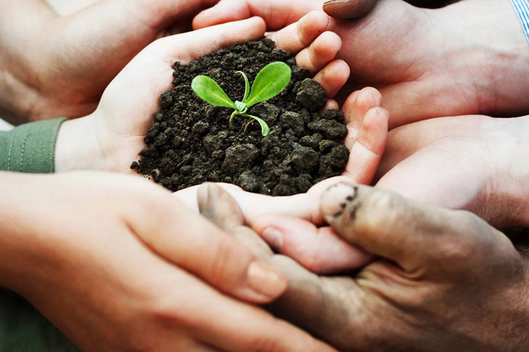 Sharing the environment