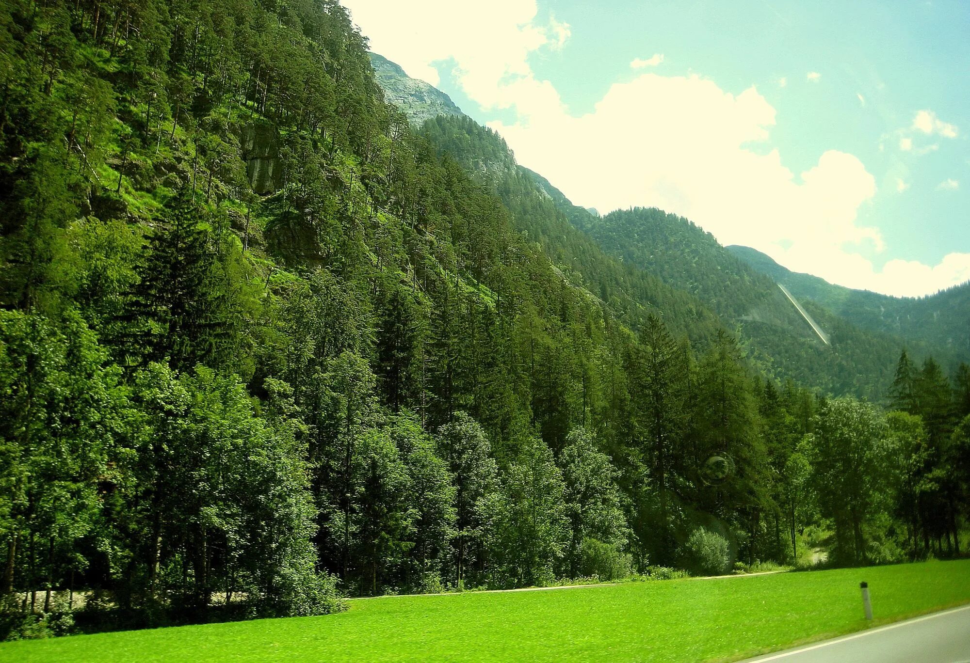 Леса Австрии. Лесные ресурсы Австрии. Австрия знаменитый лес. Австрийская Лесная. Горы поросшие лесом