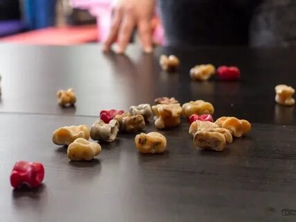 Бурятские кости